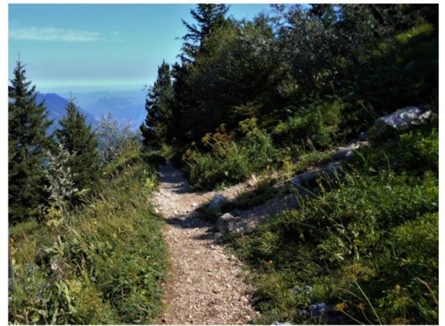Grenoble Sud Varces Suite Privatisee Au Pied Des Montagnes ภายนอก รูปภาพ